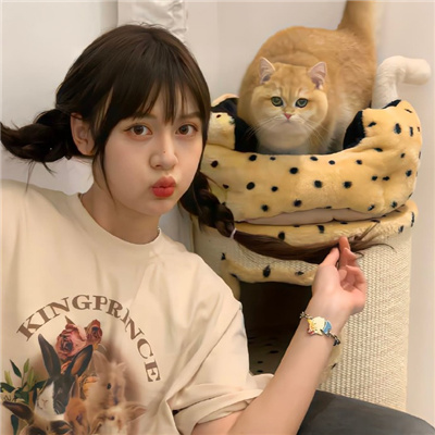 汶川伴游伴游女生星晓莉的资料